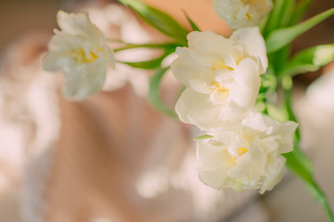 Similar image 12225464