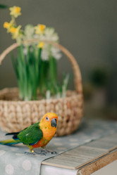 Similar image 12225466