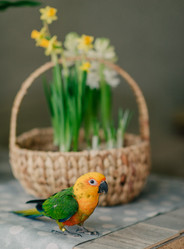 Similar image 12225467