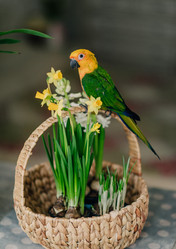 Similar image 12225468