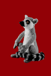 Similar image 12225437