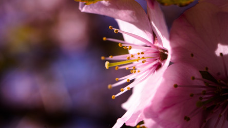 Similar image 12252654