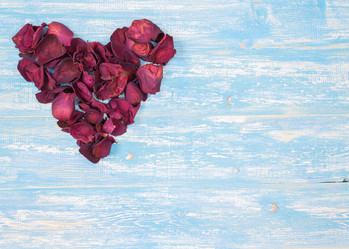 Similar image 12225582