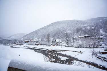 Similar image 12349065