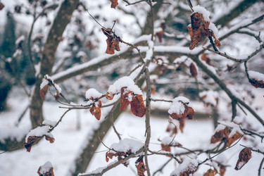 Similar image 12349066