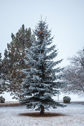 Similar image 12349068