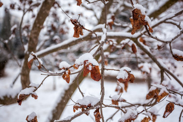 Similar image 12349081