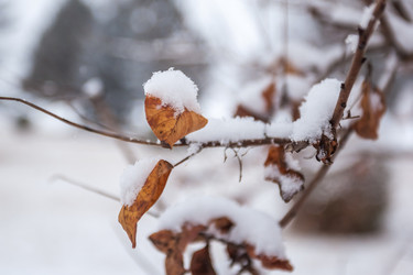 Similar image 12349083