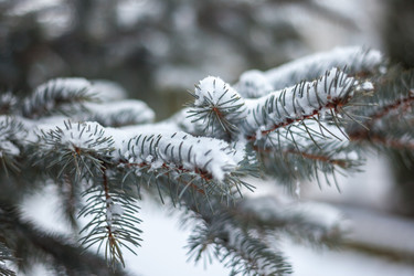 Similar image 12349085