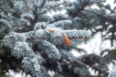 Similar image 12349087