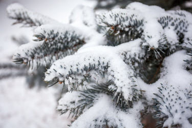 Similar image 12349088