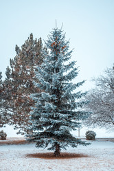 Similar image 12349089