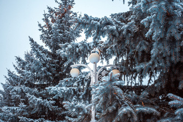 Similar image 12349103