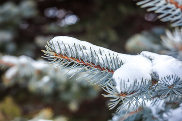 Similar image 12349104