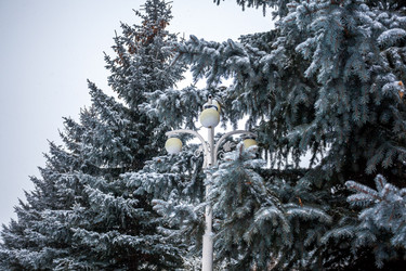 Similar image 12349108