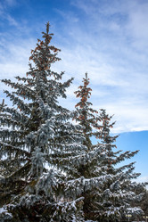 Similar image 12349146