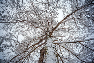 Similar image 12349147