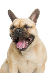 Similar image 12254312