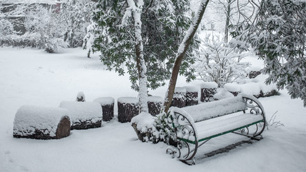 Similar image 12349019