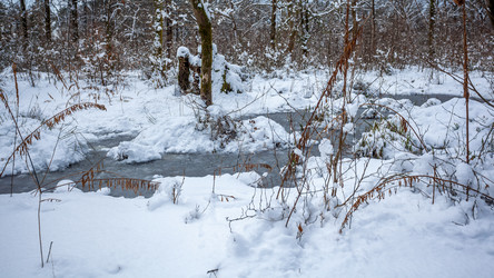 Similar image 12349021