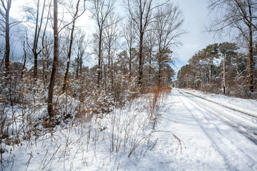 Similar image 12349024