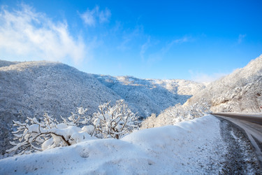 Similar image 12349034