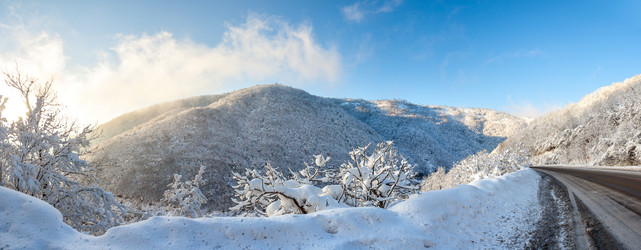 Similar image 12349035