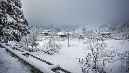 Similar image 12349040