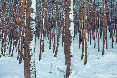 Similar image 12349041