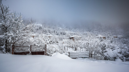 Similar image 12349052