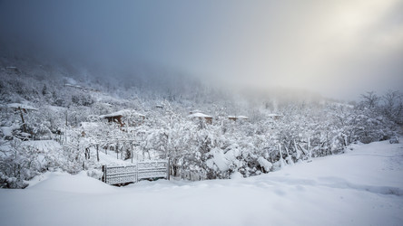 Similar image 12349053