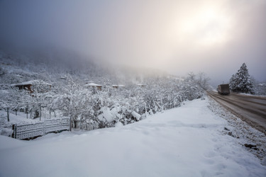 Similar image 12349054