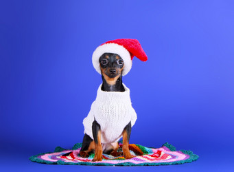 Similar image 12225453