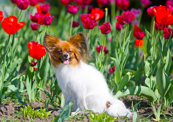 Similar image 12225457