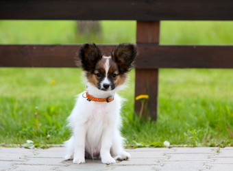 Similar image 12225459