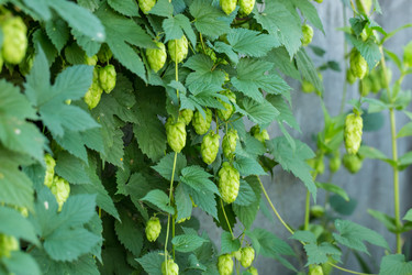 Similar image 12253017