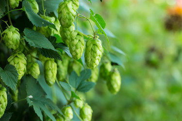 Similar image 12253018