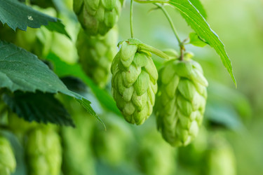 Similar image 12253020