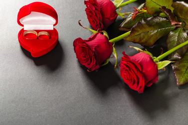 Similar image 12253041