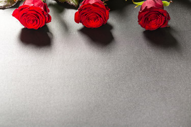 Similar image 12253045