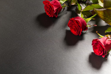 Similar image 12253046