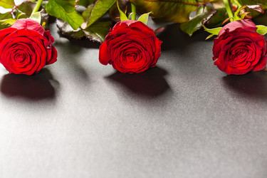 Similar image 12253047