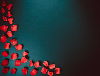 Similar image 12253064