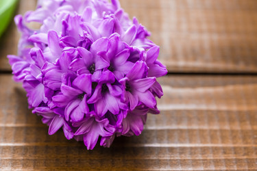 Similar image 12253067