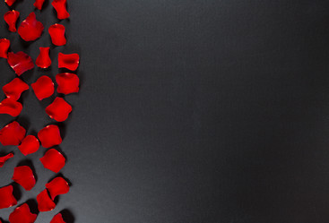 Similar image 12253109