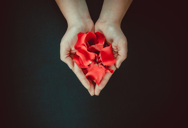 Similar image 12253268