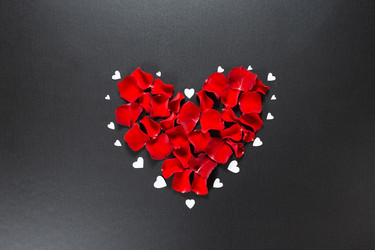 Similar image 12253026