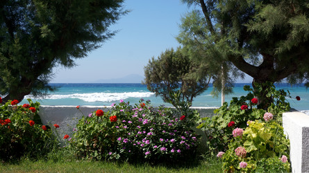 Similar image 12252671