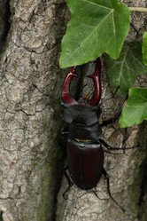 Similar image 12250273