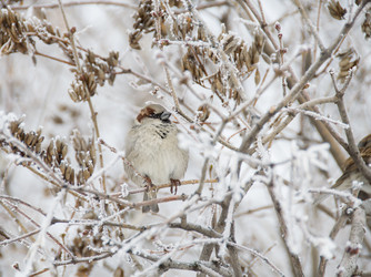 Similar image 12226947